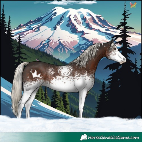 Horse Color:White Spotted Liver Chestnut Mushroom Rabicano