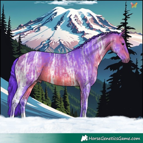 Horse Color:Watercolor Bay Ice Tobiano Rabicano 