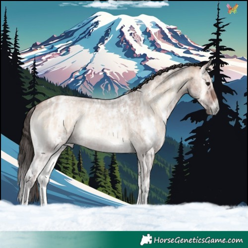 Horse Color:White Spotted Bay Ice Roan Onyx Rabicano