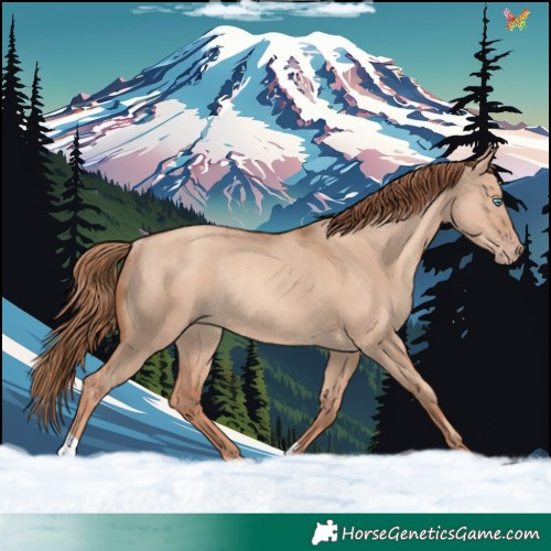 Horse Color:Gold Champagne Dun Rabicano