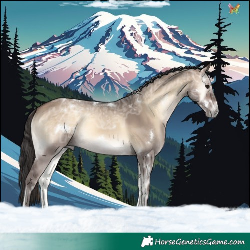 Horse Color:White Spotted Bay Ice Onyx Rabicano 