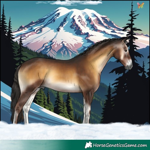 Horse Color:Gray Liver Red Onyx Rabicano