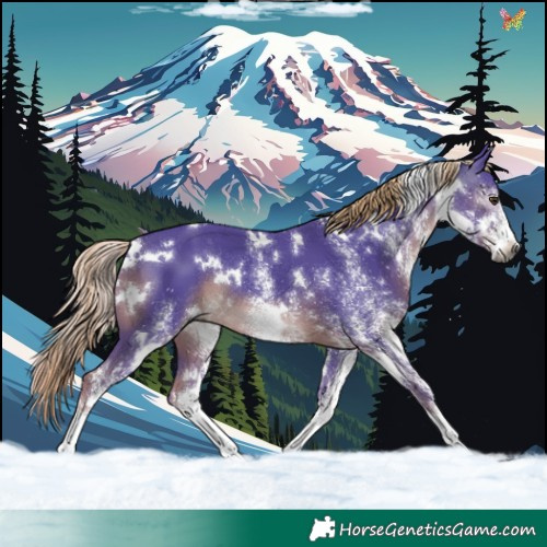 Horse Color:Gray Watercolor White Spotted Liver Chestnut Rabicano