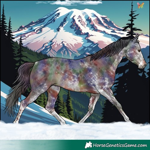 Horse Color:Gray Nacre White Spotted Liver Chestnut Rabicano
