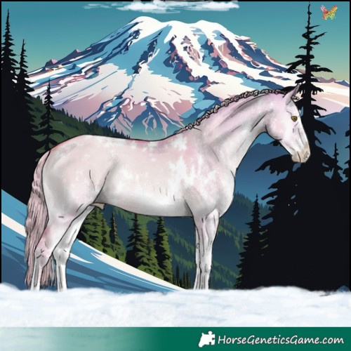 Horse Color:Watercolor White Spotted Gold Champagne Onyx Rabicano