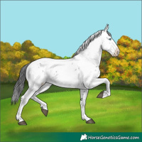 Horse Color:Black Frame 