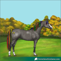 Horse Color:Painted Grullo