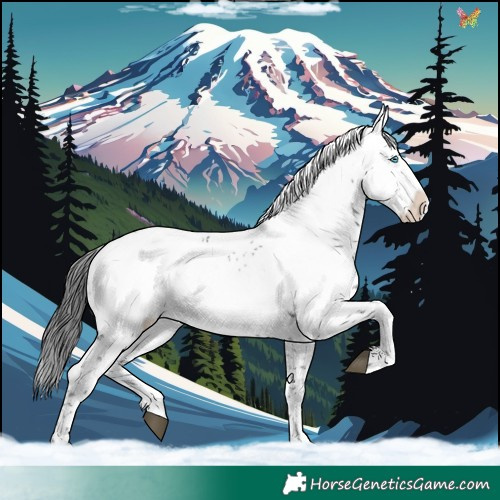 Horse Color:Black Frame 