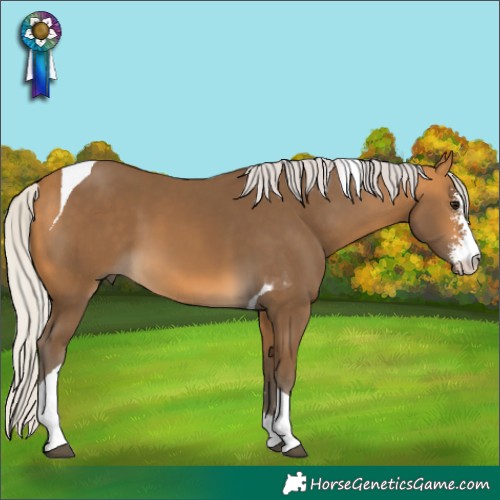 Horse Color:Silver Buckskin Sabino Tobiano