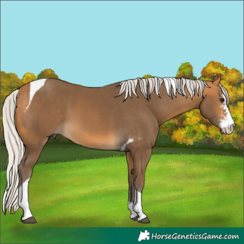 Horse Color:Silver Buckskin Sabino Tobiano 