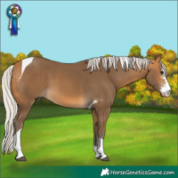 Horse Color:Silver Buckskin Sabino Tobiano