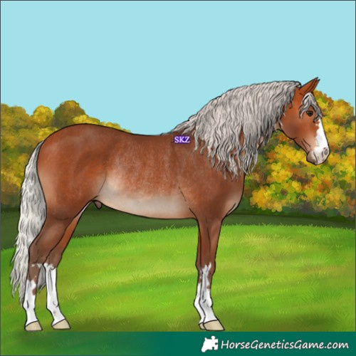 Horse Color:Silver Bay Rabicano 