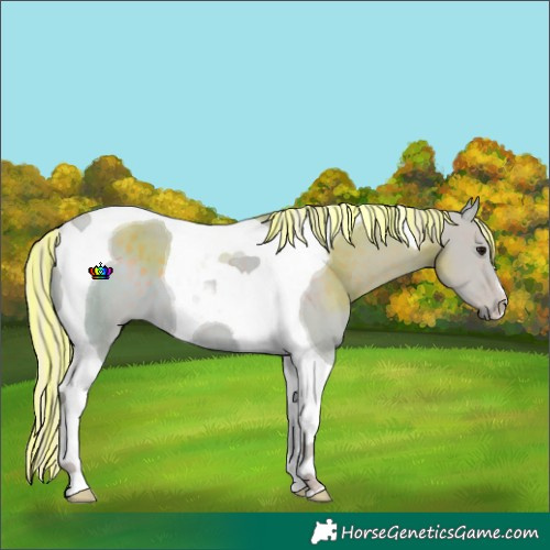 Horse Color:Painted Watercolor Silver Smoky Black Tobiano 