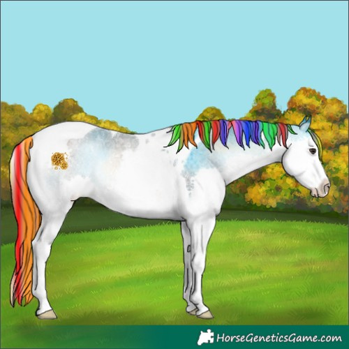 Horse Color:Painted Liver Red Onyx Roan Splash Tobiano