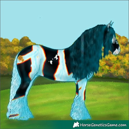 Horse Color:Thunderstruck White Spotted Silver Blue Onyx Rabicano
