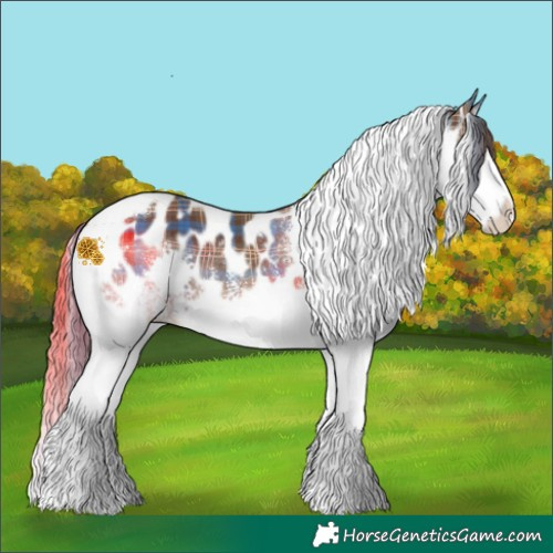 Horse Color:Plaid  White Spotted Liver Chestnut Splash Tobiano Near Leopard 