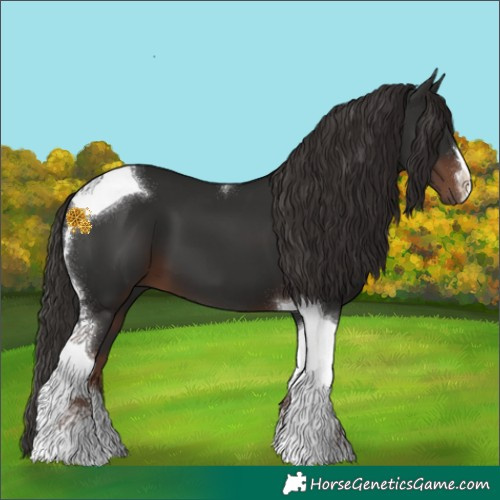 Horse Color:Liver Chestnut Tobiano 
