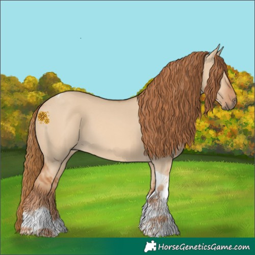 Horse Color:Red Dun Tobiano 