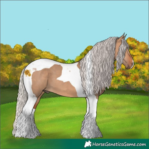 Horse Color:Silver Bay Dun Tobiano