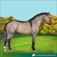 Horse Color:Brown Dun