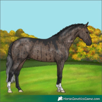 Horse Color:Brown Dun Brindle 