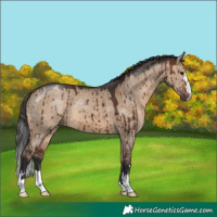 Horse Color:Brown Dun Brindle 