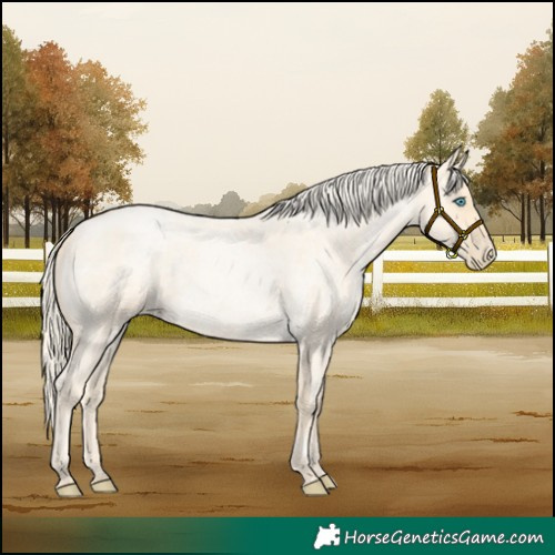 Horse Color:Palomino Roan Pearl  and Palomino Roan Pearl 