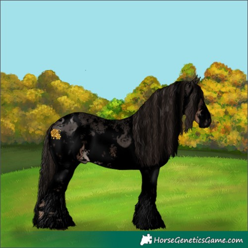 Horse Color:Void Liver Chestnut Sabino 