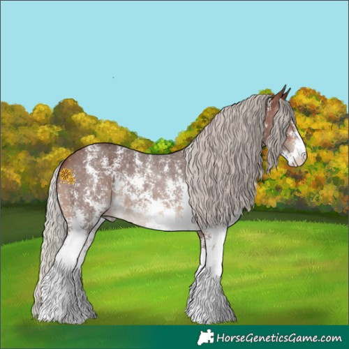 Horse Color:Silver Brown Sabino