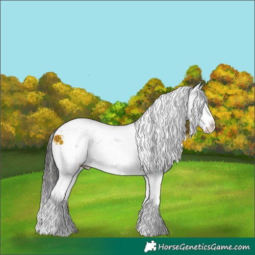 Horse Color:White Spotted Liver Chestnut Sabino