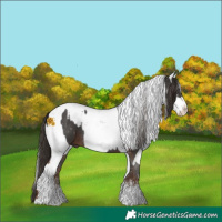Horse Color:Liver Chestnut Sabino Tobiano and White Spotted Liver Chestnut Sabino