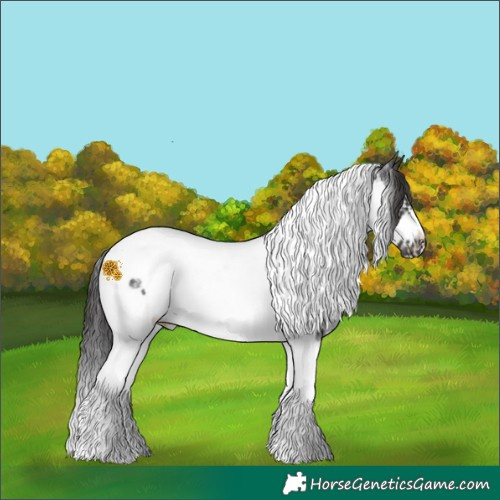 Horse Color:Smoky Black Sabino Tobiano Frame Rabicano