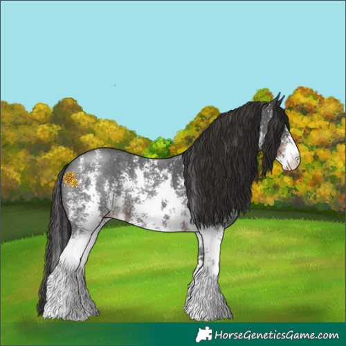 Horse Color:Liver Chestnut Sabino