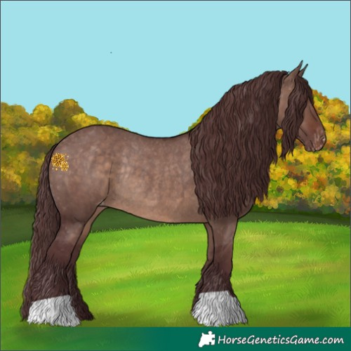 Horse Color:Chocolate Brown Dun Mushroom Varnish Rabicano 