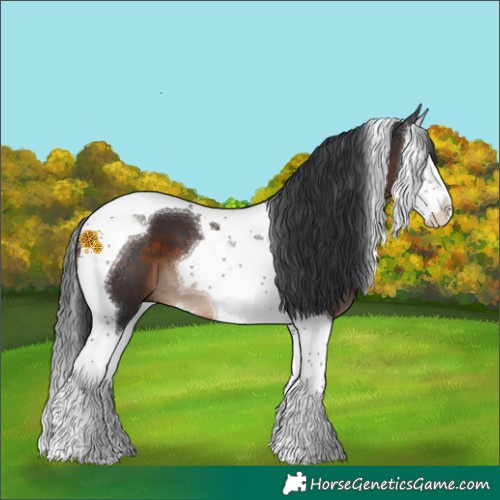 Horse Color:Brown Splash Tobiano 