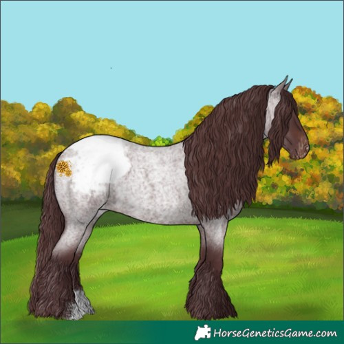 Horse Color:Chocolate Brown Roan Snowcap 