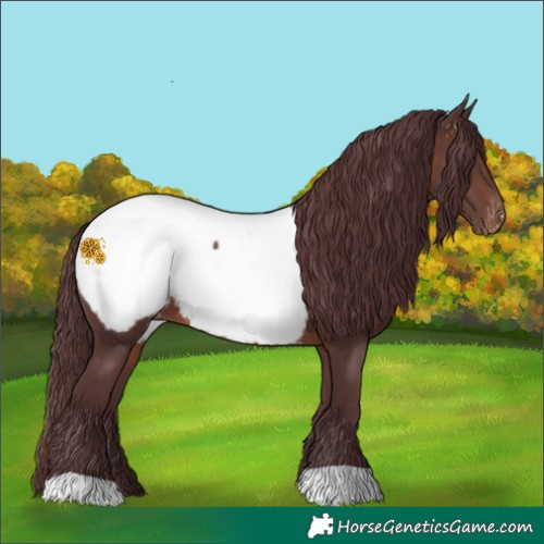 Horse Color:Chocolate Brown Near Fewspot 
