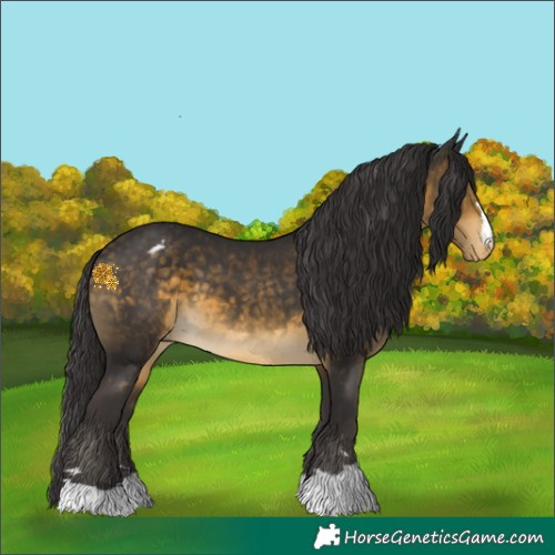 Horse Color:Buckskin Varnish 