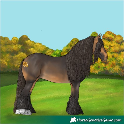 Horse Color:Buckskin 