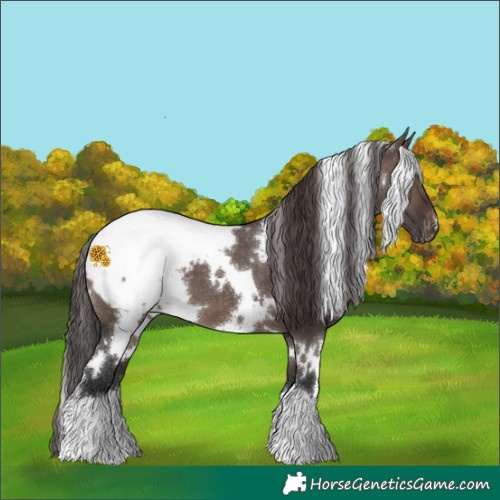 Horse Color:White Spotted Brown Dun Mushroom Snowcap 