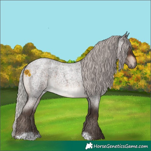 Horse Color:Silver Brown Roan