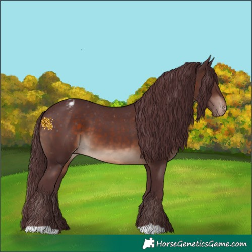 Horse Color:Chocolate Brown Mushroom Varnish 
