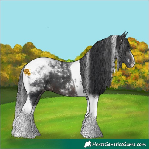 Horse Color:Brown Tobiano 