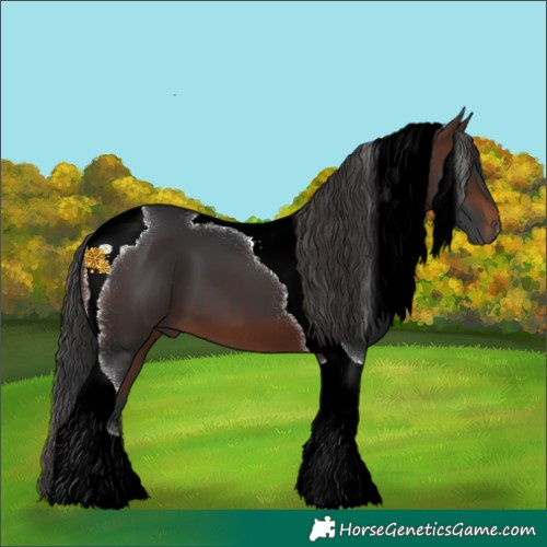 Horse Color:Brown Tobiano 