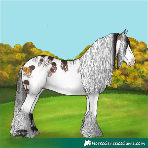 Horse Color:Brown Splash Tobiano