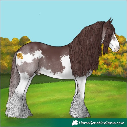 Horse Color:Chocolate Black Splash 