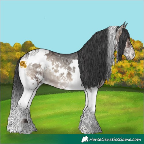 Horse Color:Blue Onyx Ice Splash Tobiano 