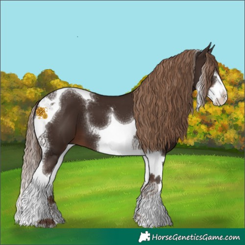 Horse Color:Liver Chestnut Splash Tobiano 