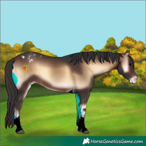 Horse Color:Brown Onyx Tobiano Appaloosa