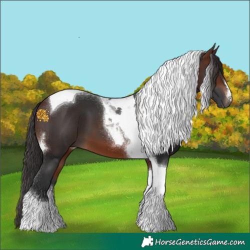 Horse Color:Brown Tobiano 
